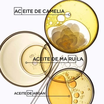 Textura Shampoo de nutrición profunda y brillo Bain Elixir Ultime