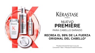 Imagen banner Premier línea cabello dañado