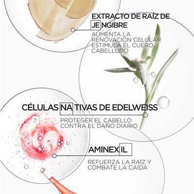 Genesis Ingredientes