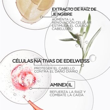 Genesis Ingredientes