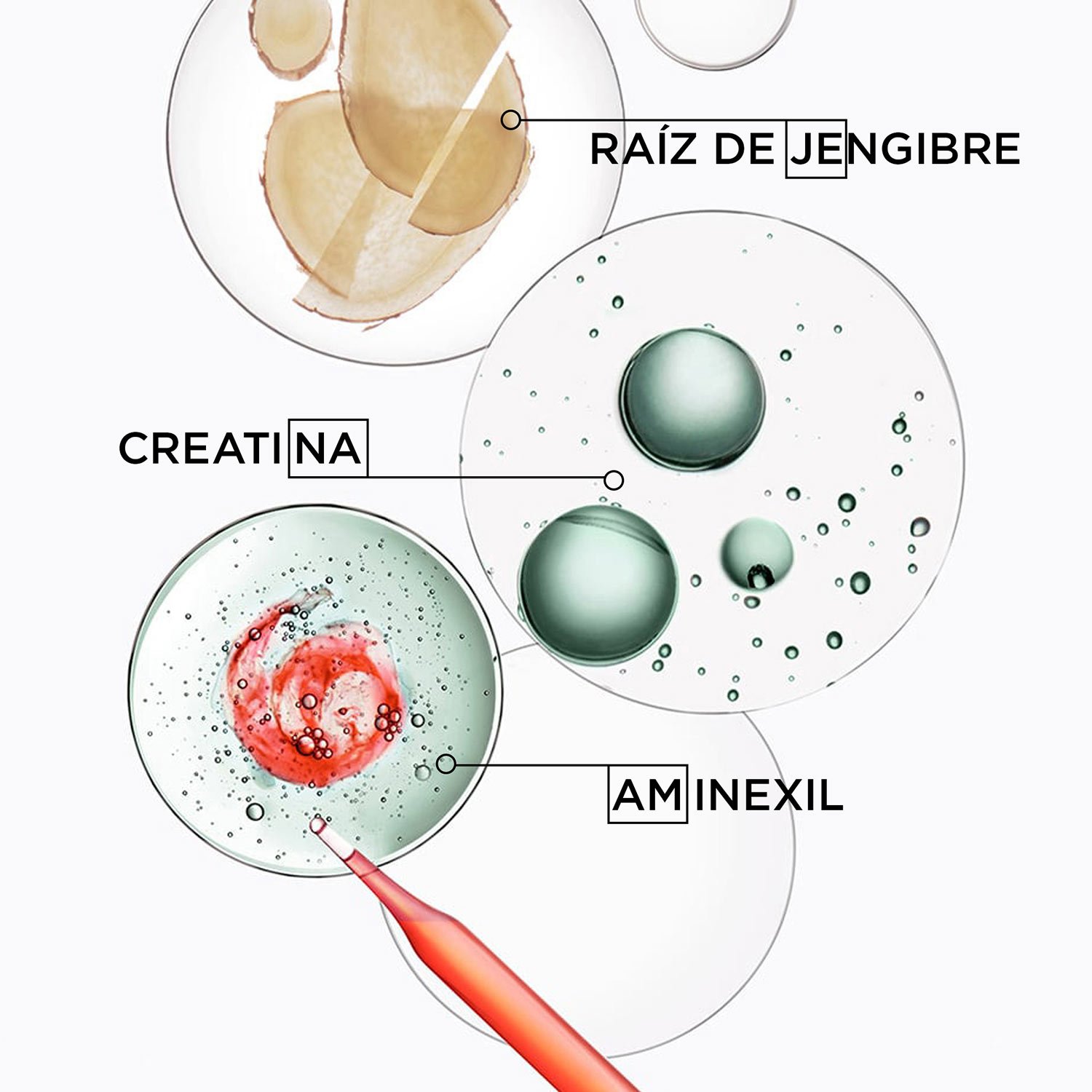 Ingredientes spray que aumenta la fuerza y el grosor del cabello debilitado Spray Force Epaississant Genesis
