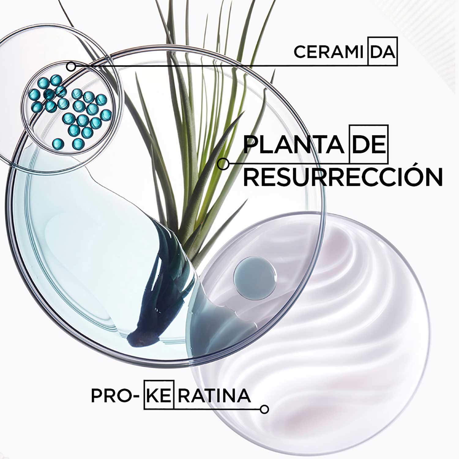 Textura Crema termoprotectora fortalecedora para cabello muy dañado Ciment Thermique Force Architecte Resistance  